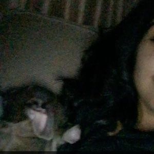 Meet your Posher, Idalis